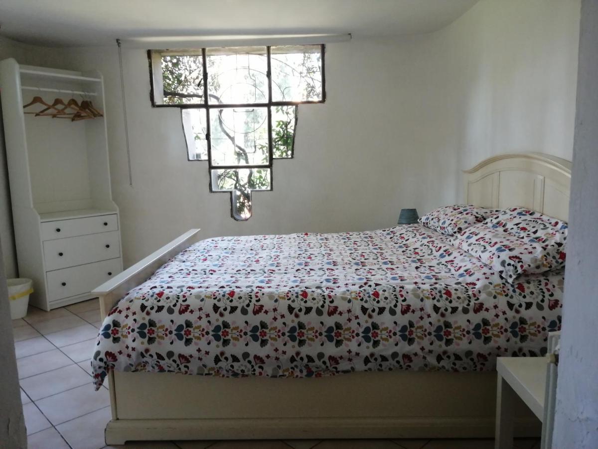 La Casa Di Duccio Con Parcheggio Gratuito Apartment Florenţa Exterior foto